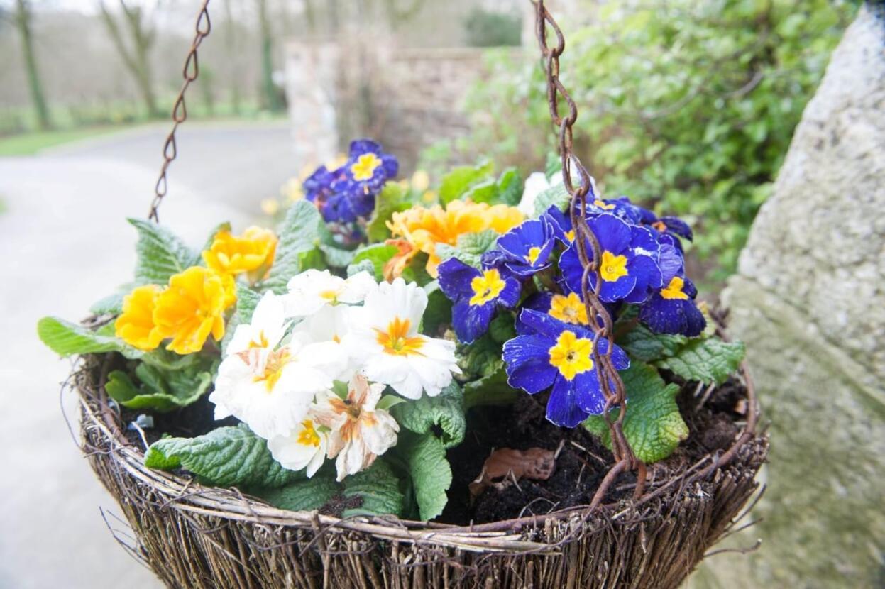Knole Farm Bed & Breakfast Okehampton Dış mekan fotoğraf