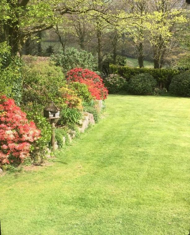 Knole Farm Bed & Breakfast Okehampton Oda fotoğraf
