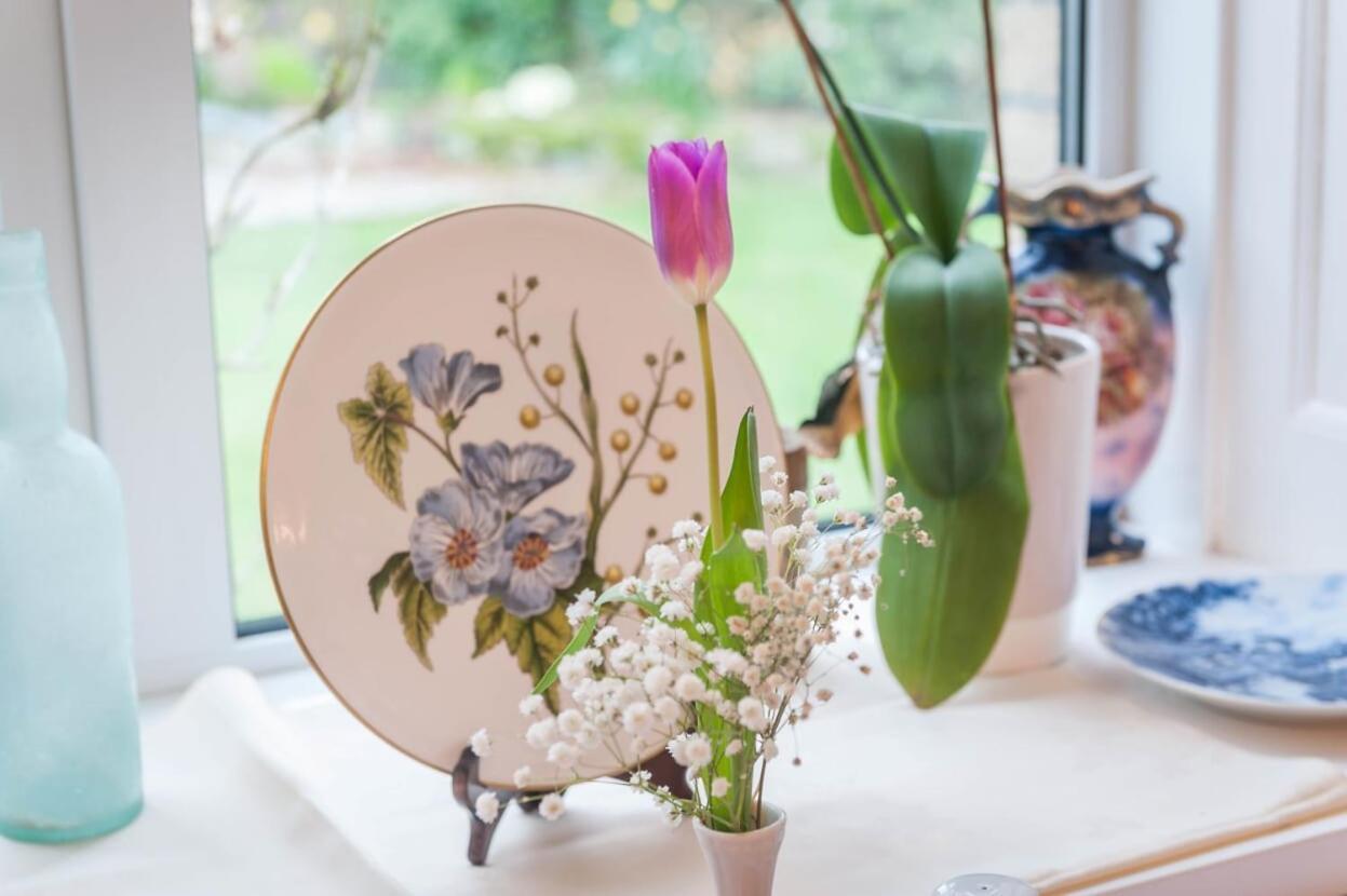 Knole Farm Bed & Breakfast Okehampton Dış mekan fotoğraf
